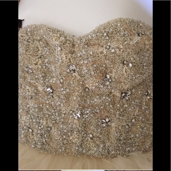 Monique Lhuillier Meriah Tulle Wedding Dress - Picture 8 of 8